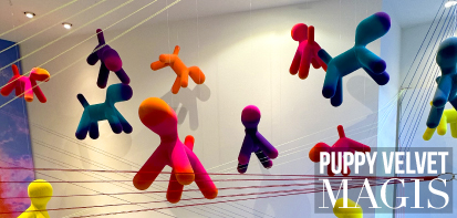 Nouveauté 2023 : Puppy Velvet !
