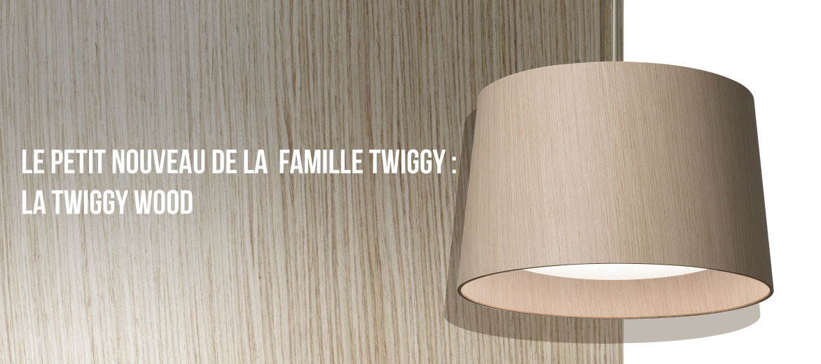 Twiggy Wood new