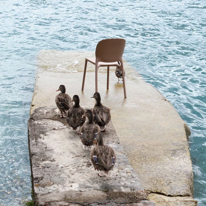 Chaise Hug - Lot de 6