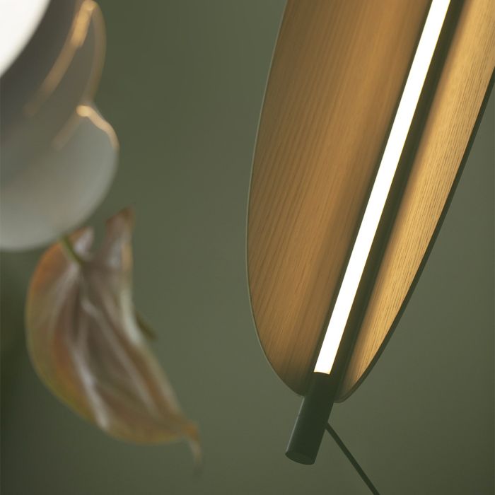 Thula Suspension / 562.23