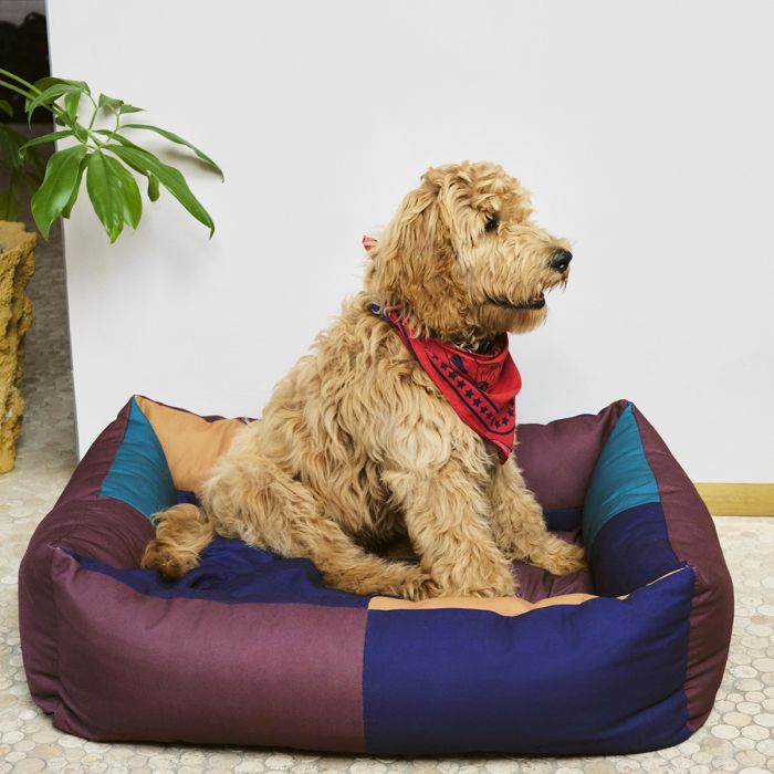 Panier pour chien Hay