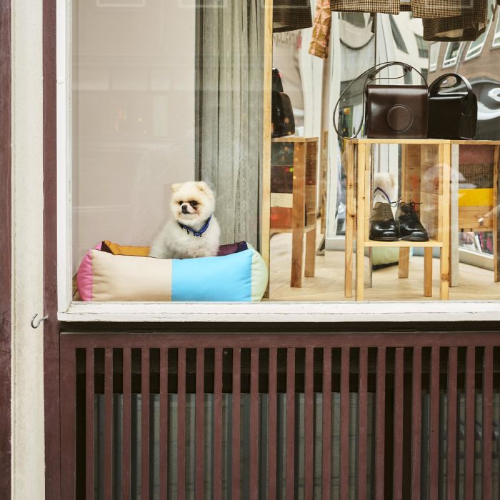 Panier pour chien Hay
