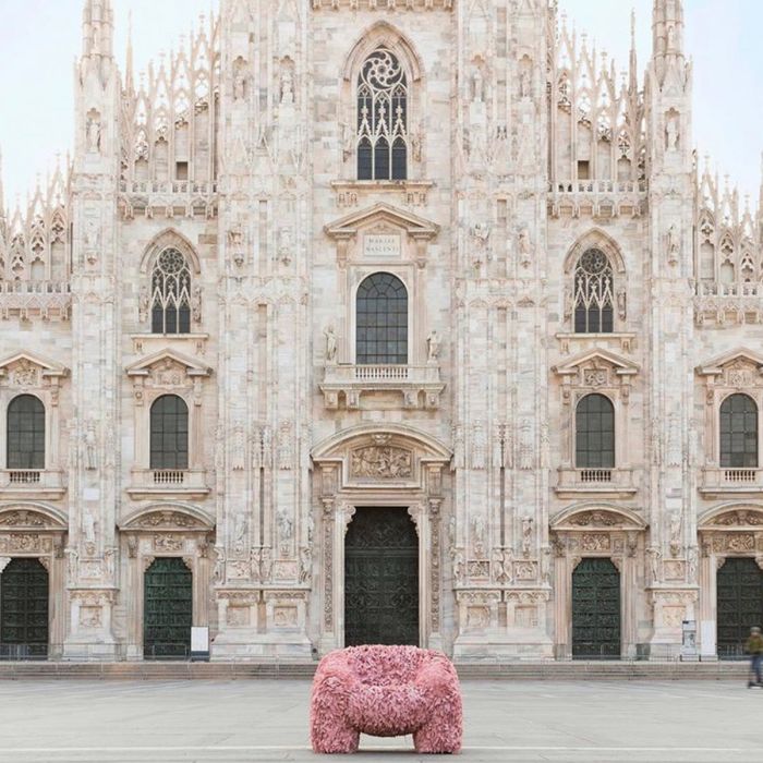 Fauteuil Hortensia