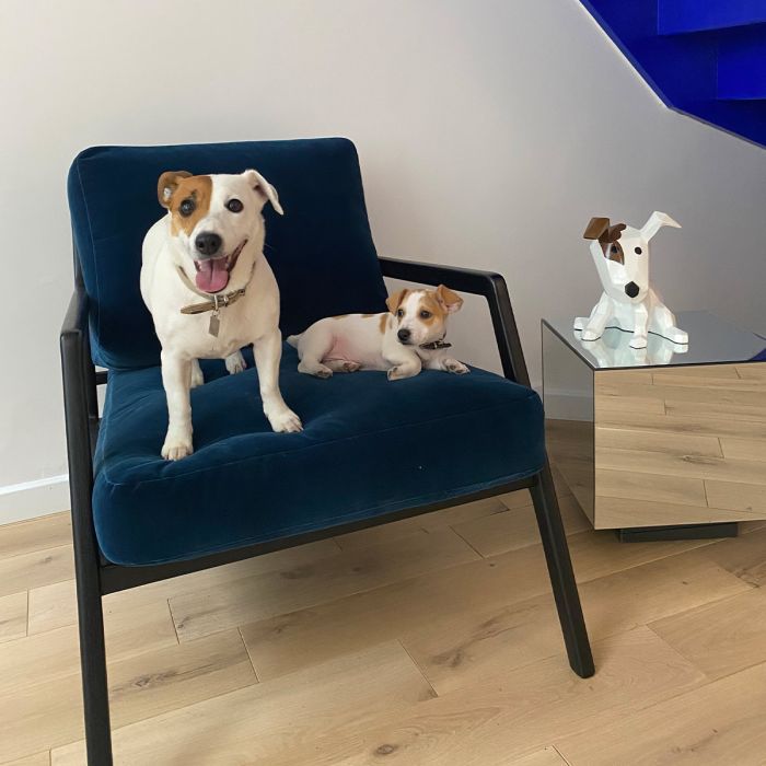LadyDog