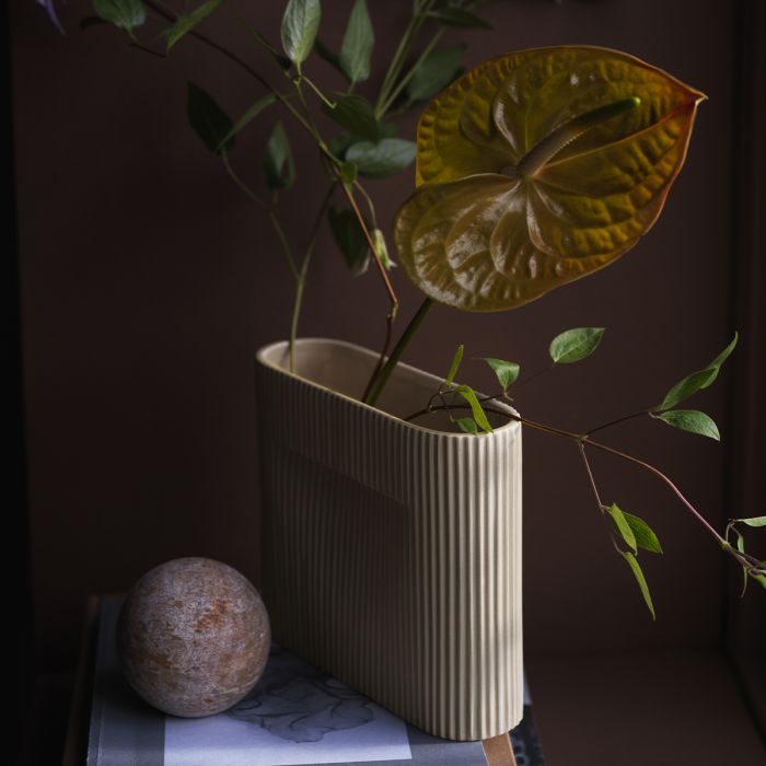 Vase Ridge