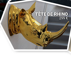 T&ecirc;te de Rhinoc&eacute;ros Artypopart